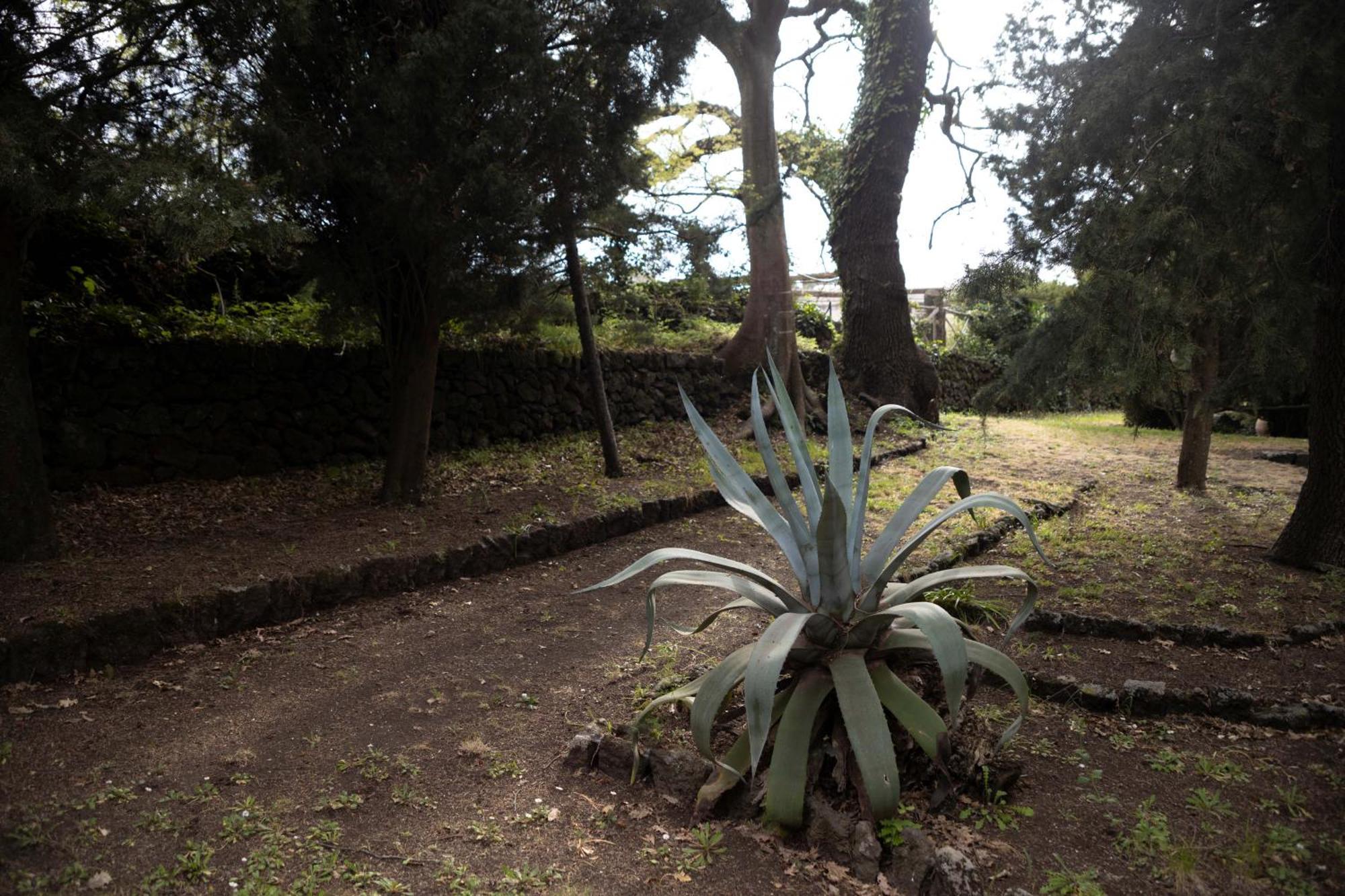MontelaguardiaParco Statella别墅 外观 照片