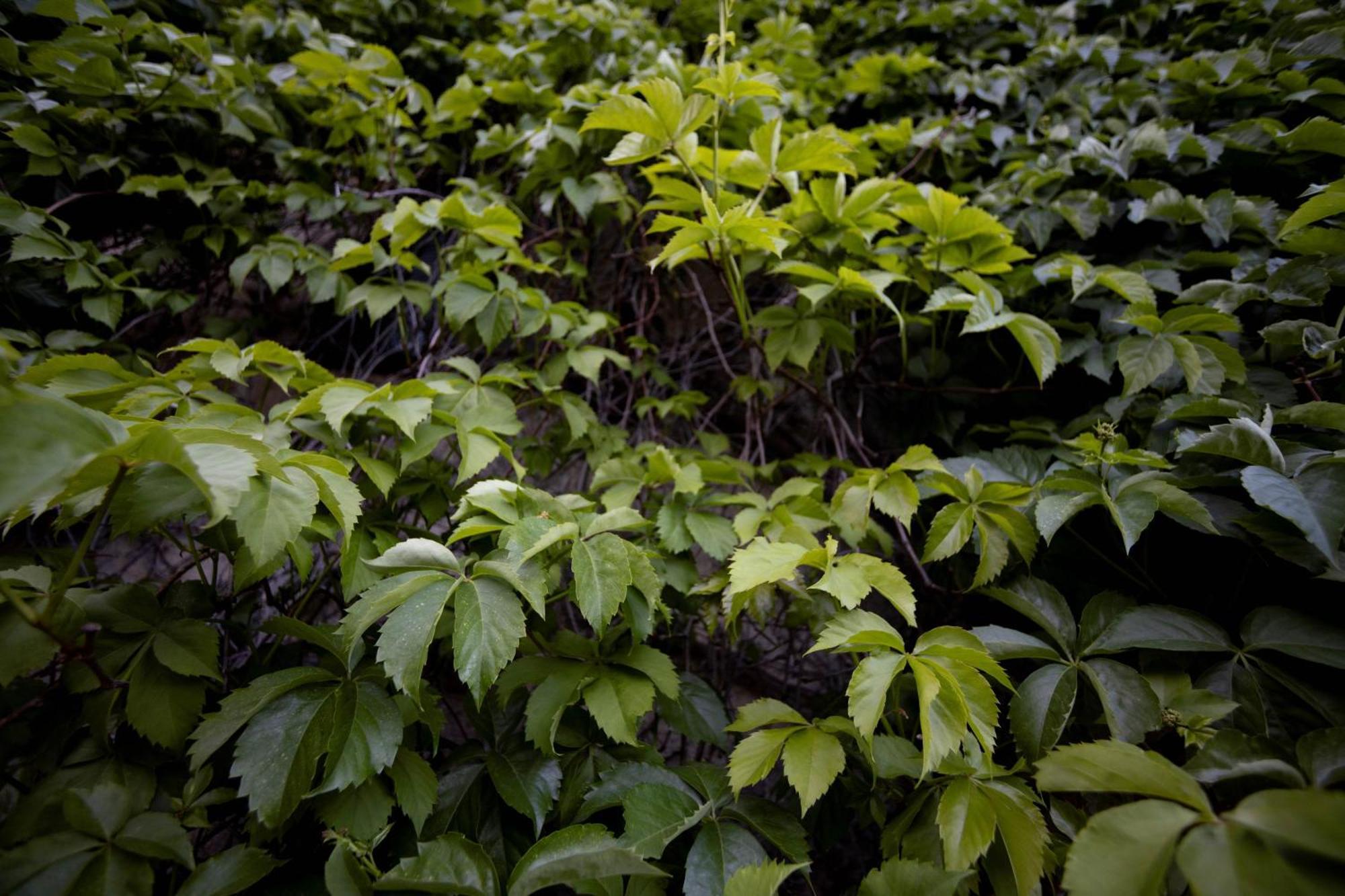 MontelaguardiaParco Statella别墅 外观 照片